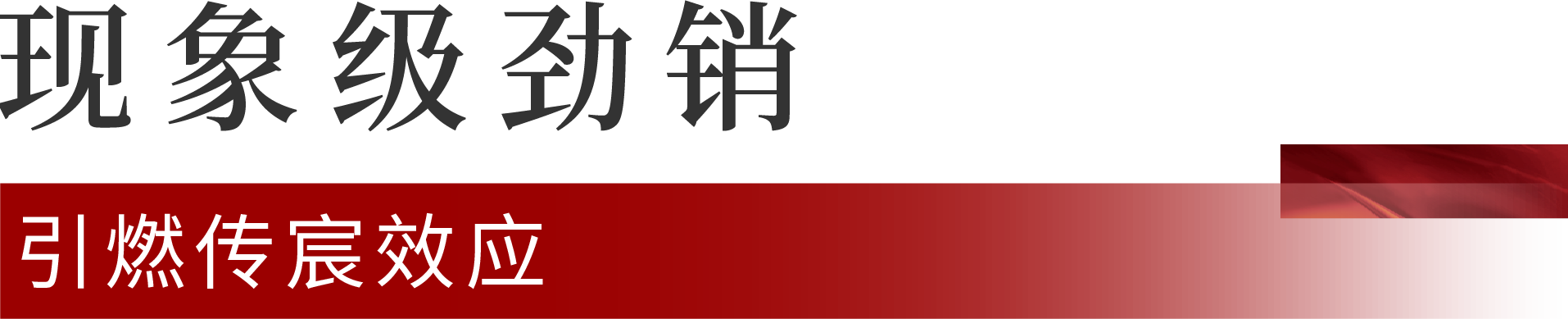 02.png