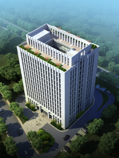 �����羺��(�й���)�ٷ���վ