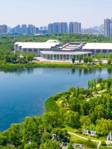 �����羺��(�й���)�ٷ���վ