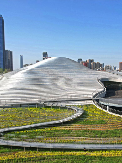 �����羺��(�й���)�ٷ���վ