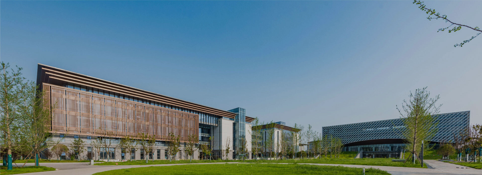 �����羺��(�й���)�ٷ���վ